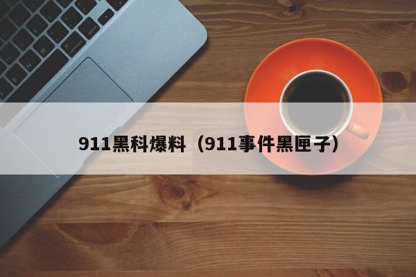 911黑科爆料（911事件黑匣子）