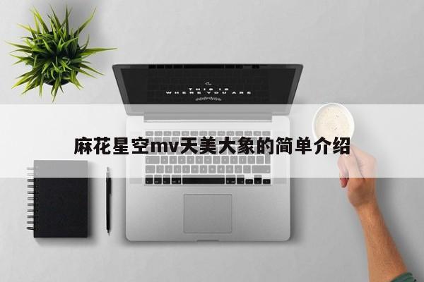麻花星空mv天美大象的简单介绍