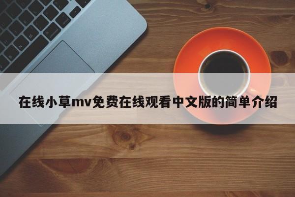 在线小草mv免费在线观看中文版的简单介绍