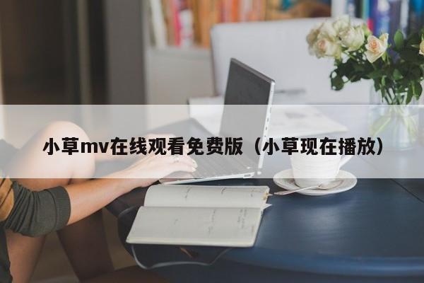 小草mv在线观看免费版（小草现在播放）